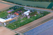 Fussballgolfpark Südpfalz auf dem Adamshof Kandel im Bundesland Rheinland-Pfalz, Deutschland aus der Luft betrachtet