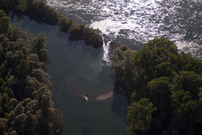 Uferbereiche des mit durch Hochwasser- Schutz- Damm verstärkten Flußbett- Verlaufes Altrhein im Bremengrund im Ortsteil Neuburgweier in Au am Rhein im Bundesland Baden-Württemberg, Deutschland