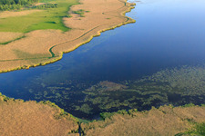 Luftaufnahme von Federsee in Bad Buchau im Bundesland Baden-Württemberg, Deutschland