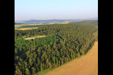 Deponie Roter Hau im Wald im Ortsteil Schlechtenfeld in Ehingen im Bundesland Baden-Württemberg, Deutschland
