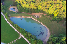 Weiher im Damwildgehege Bachhofer im Ortsteil Kirchen in Ehingen im Bundesland Baden-Württemberg, Deutschland