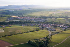 Drohnenbild von Ortsteil Ingenheim in Billigheim-Ingenheim im Bundesland Rheinland-Pfalz, Deutschland