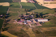 Ernst Frieder Hornberger in Willstätt im Bundesland Baden-Württemberg, Deutschland