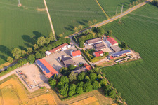Wochner Erdbeeren und Feldsalat in Merdingen und  Oswald Schopp Landwirt im Bundesland Baden-Württemberg, Deutschland