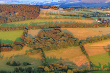 Wald und Feld am Bergmähwiesenpfad im Ortsteil Herchenhain in Grebenhain im Bundesland Hessen, Deutschland