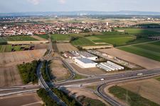 Luftaufnahme von Gemüse Renner V+V in Mutterstadt im Bundesland Rheinland-Pfalz, Deutschland