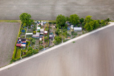 Parzellen einer Kleingartenanlage Eppstein in Frankenthal (Pfalz) im Bundesland Rheinland-Pfalz, Deutschland
