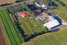 Luftbild von Fussballgolfpark Südpfalz auf dem Adamshof Kandel im Bundesland Rheinland-Pfalz, Deutschland