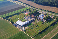 Fussballgolfpark Südpfalz auf dem Adamshof Kandel im Bundesland Rheinland-Pfalz, Deutschland aus der Luft