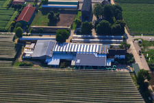 Schrägluftbild von Obsthof Zapf und Hofcafé und Uwe Nauerth - Tabak Produktion im Holderbühler Hof und in Kandel im Bundesland Rheinland-Pfalz, Deutschland