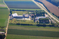 Fussballgolfpark Südpfalz auf dem Adamshof Kandel im Bundesland Rheinland-Pfalz, Deutschland vom Flugzeug aus