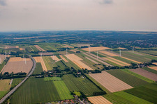 Luftbild von Windpark von Norden im Ortsteil Altenbruch-Westerende in Cuxhaven im Bundesland Niedersachsen, Deutschland