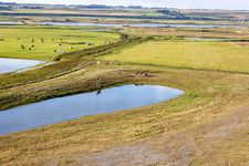 Weiden hinter dem Deich in Woignarue im Bundesland Somme, Frankreich