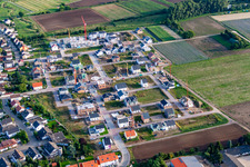 Neubaugebiet Betheny-Allee im Ortsteil Schauernheim in Dannstadt-Schauernheim im Bundesland Rheinland-Pfalz, Deutschland