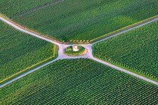 Luftbild von Felder einer Weinbergs- Landschaft der Winzer- Gebiete mit Sandsteinturm - Winzerturm in Hochstadt (Pfalz) im Ortsteil Niederhochstadt im Bundesland Rheinland-Pfalz, Deutschland