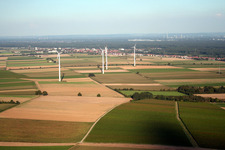 Windkraftanlagen von Westen in Minfeld im Bundesland Rheinland-Pfalz, Deutschland