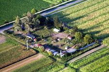 Spedition am Ortsausgang Ost in Minfeld im Bundesland Rheinland-Pfalz, Deutschland