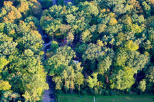 Fun-Forest in Kandel im Bundesland Rheinland-Pfalz, Deutschland