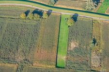 Luftaufnahme von Modellflugplatz in Hagenbach im Bundesland Rheinland-Pfalz, Deutschland