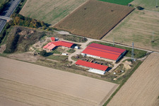 Hühnerhof Eierfarm in Erlenbach bei Kandel im Bundesland Rheinland-Pfalz, Deutschland aus der Vogelperspektive