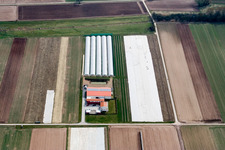 Aussiedlerhof Steegmüller in Offenbach an der Queich im Bundesland Rheinland-Pfalz, Deutschland