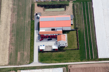 Luftbild von Aussiedlerhof Steegmüller in Offenbach an der Queich im Bundesland Rheinland-Pfalz, Deutschland