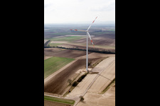 Windkraftanlagen in Ottersheim bei Landau im Bundesland Rheinland-Pfalz, Deutschland