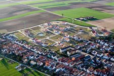 Am Höhenweg von Süden in Kandel im Bundesland Rheinland-Pfalz, Deutschland