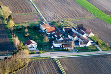 Welschhof in Freckenfeld im Bundesland Rheinland-Pfalz, Deutschland vom Flugzeug aus