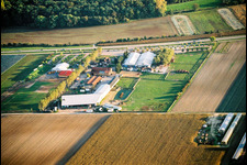 Adamshof von Norden in Kandel im Bundesland Rheinland-Pfalz, Deutschland