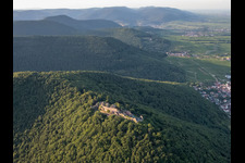 Burgruine Madenburg aus Süden in Eschbach im Bundesland Rheinland-Pfalz, Deutschland